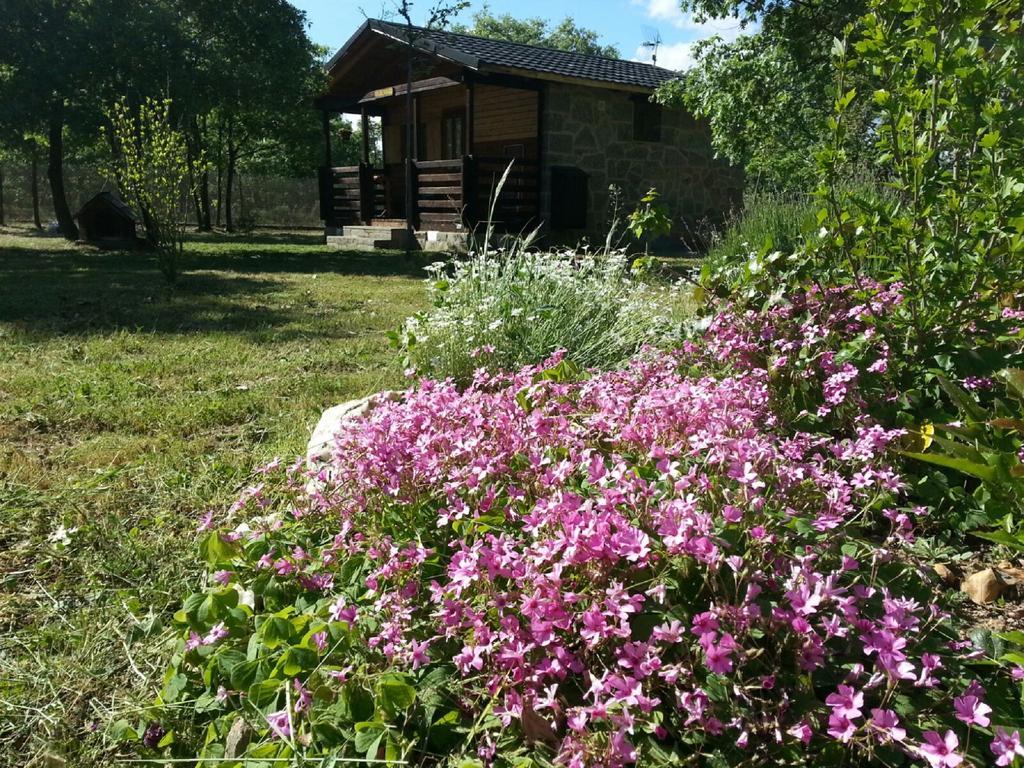 Cabanas Vallecino Manzanal de los Infantes ภายนอก รูปภาพ