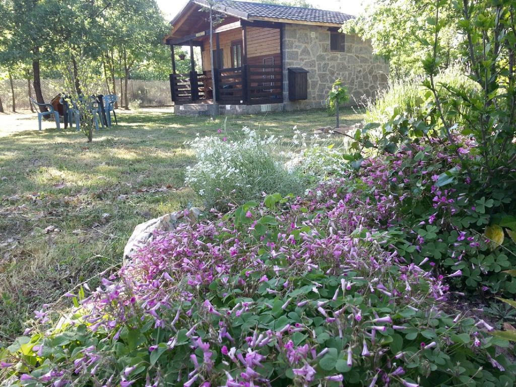 Cabanas Vallecino Manzanal de los Infantes ภายนอก รูปภาพ