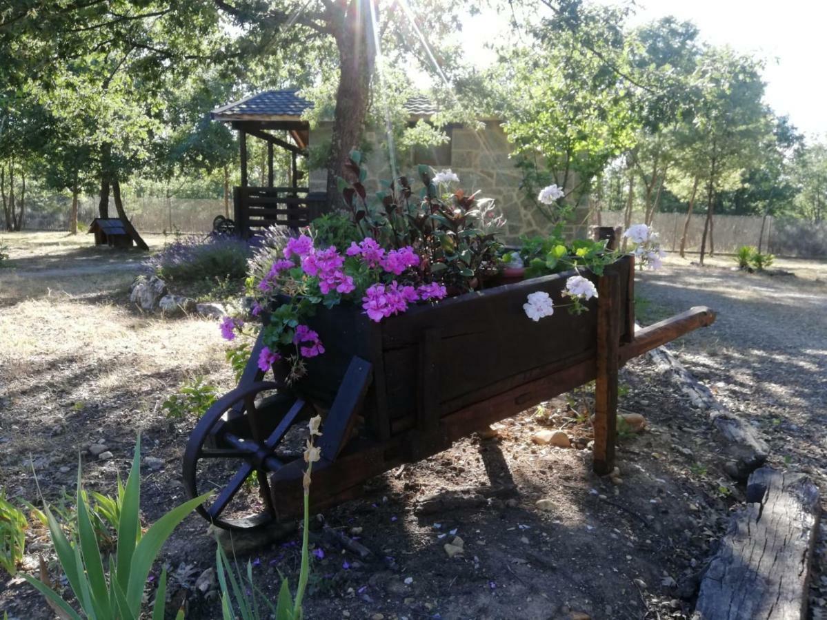 Cabanas Vallecino Manzanal de los Infantes ภายนอก รูปภาพ