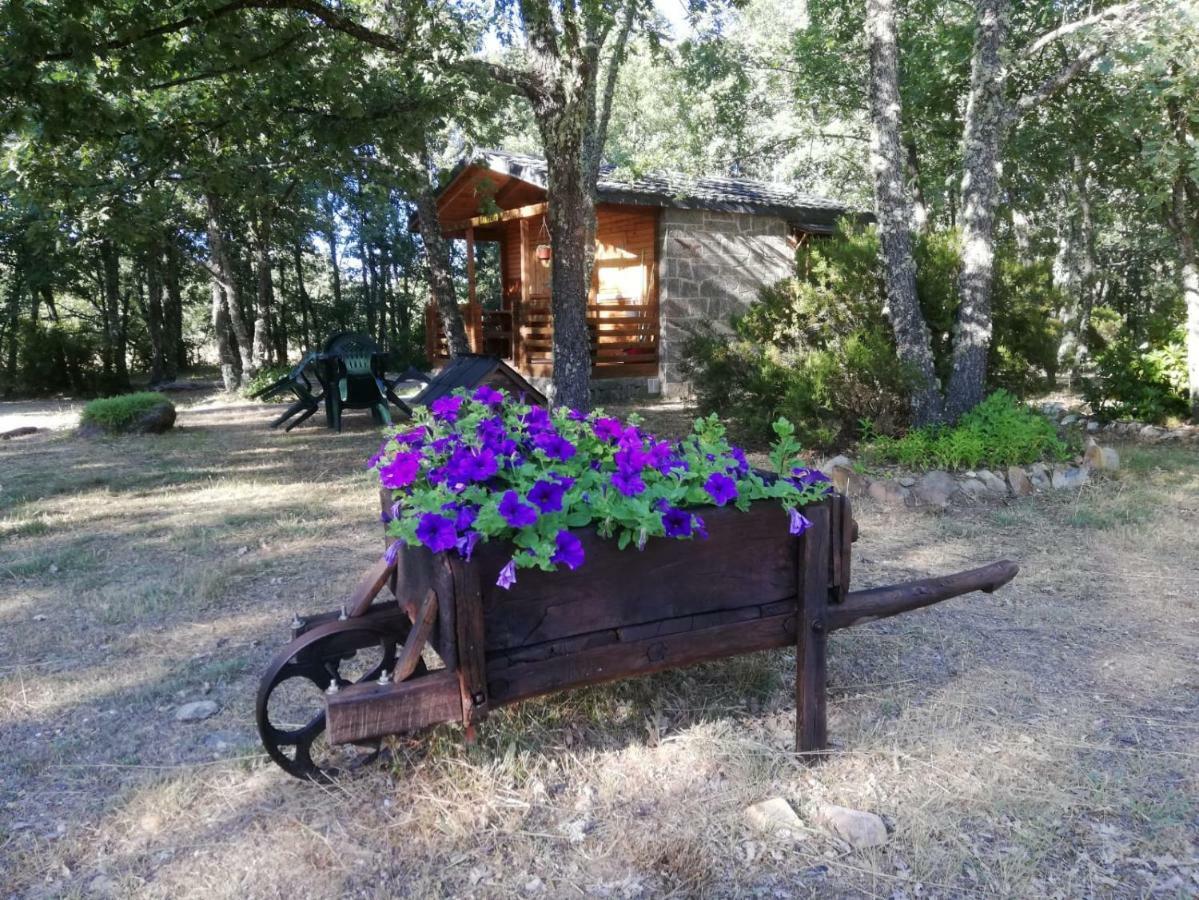 Cabanas Vallecino Manzanal de los Infantes ภายนอก รูปภาพ