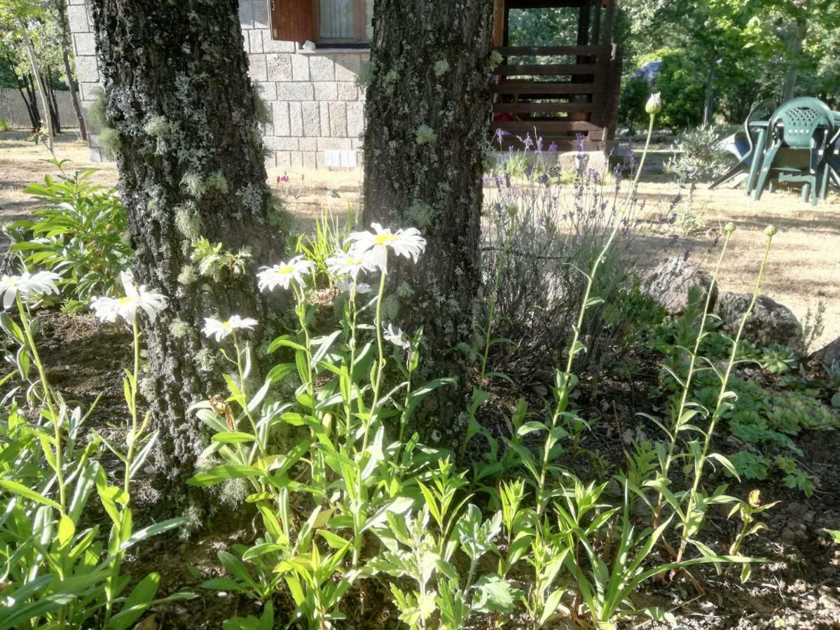 Cabanas Vallecino Manzanal de los Infantes ภายนอก รูปภาพ