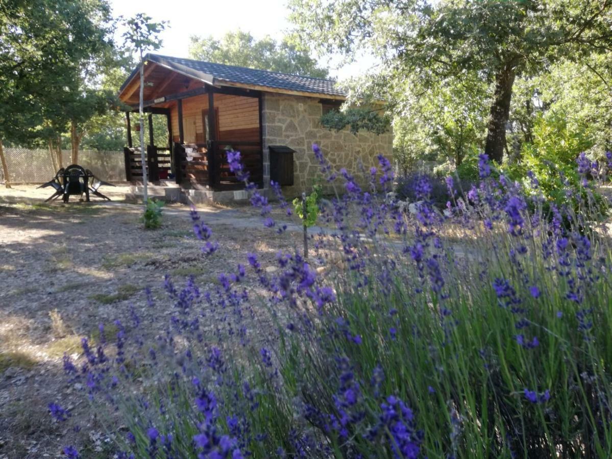 Cabanas Vallecino Manzanal de los Infantes ภายนอก รูปภาพ