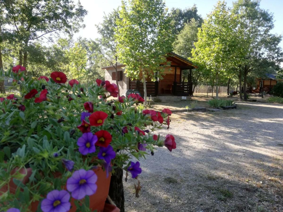 Cabanas Vallecino Manzanal de los Infantes ภายนอก รูปภาพ